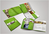 GIẤY COUCHE (COATED ART PAPER)