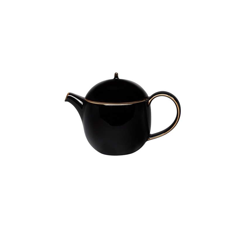 STUDIO TENMOKU - 0.4L TEAPOT WITH INFUSER (BLACK)