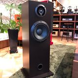  Củ loa bass rời cao cấp 20cm Fostex FW208HS 