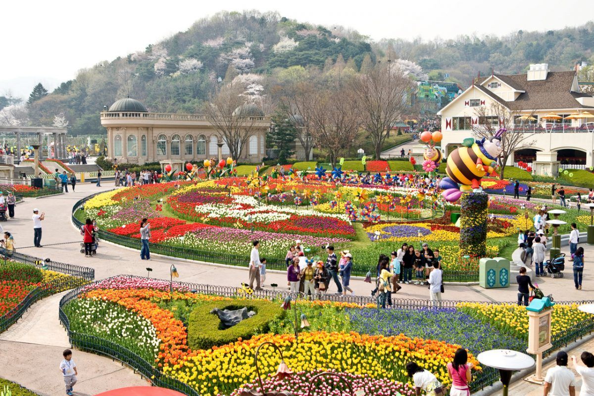 SEOUL - ĐẢO NAMI - CÔNG VIÊN EVERLAND - LÀNG CỔ HANOK BUKCHON – CÔNG VIÊN HOA ANH ĐÀO YEOUIDO