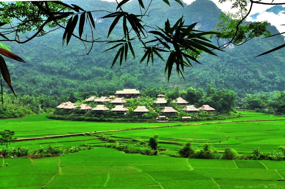 Hà Nội - Cao Nguyên Mộc Châu - Mai Châu - Hà nội