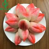 Bánh bao đào chay không nhân - hộp 7c