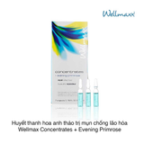 Huyết thanh hoa anh thảo trị mụn chống lão hóa Wellmax Concentrates + Evening Primrose Repair Effect Fluide (2ml x 7 ống) (Hộp)