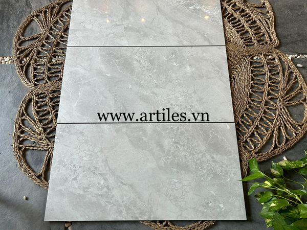 Gạch ốp tường 40x80cm W804