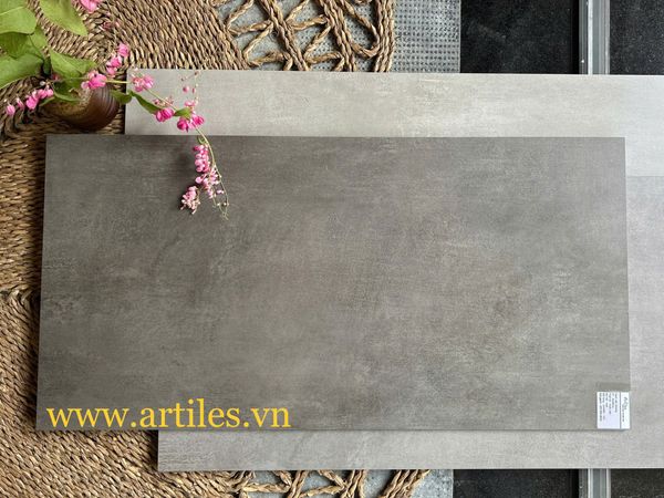 Gạch xám ximang 40x80cm Art103M