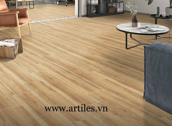 Gạch vân gỗ 20x100cm Art21001