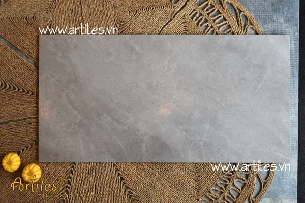 Gạch mờ mịn mượt Art60120 - PDN31