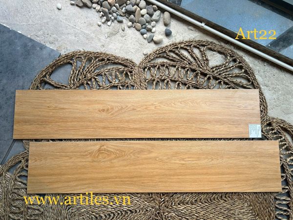 Gạch đá vân gỗ 20x100cm T22