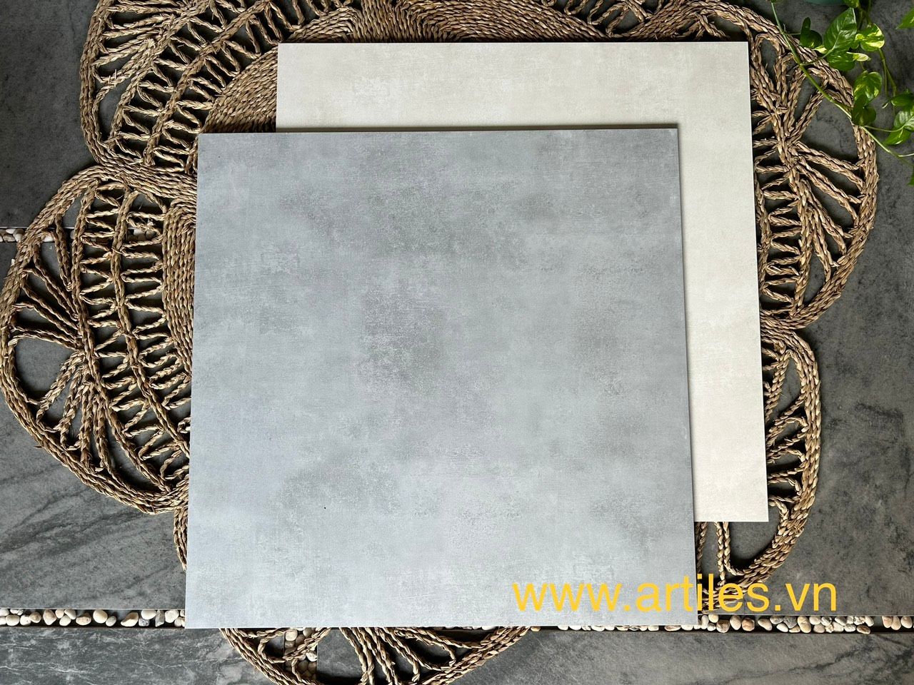 Gạch mờ xám ximang  80x80cm chất lượng