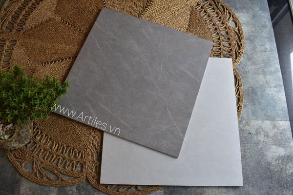 Gạch 80x80 vân đá mờ Art8080 - 08 -M02