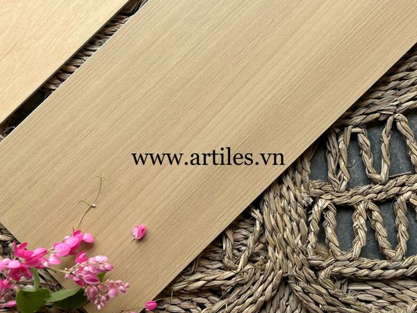 Gạch vân gỗ bề mặt mịn baby skin Art 25M