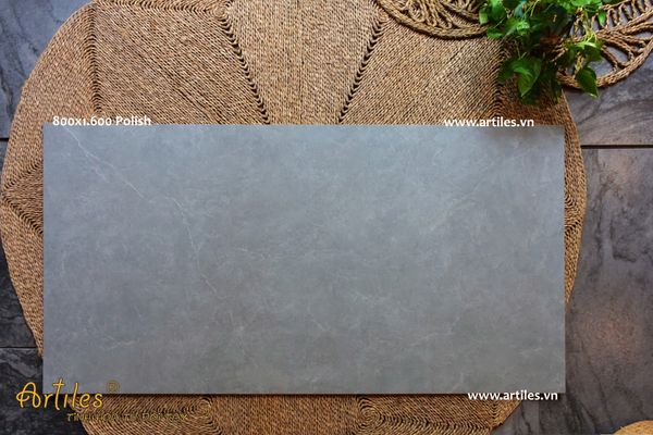 Gạch khổ lớn 800x1600mm P81603