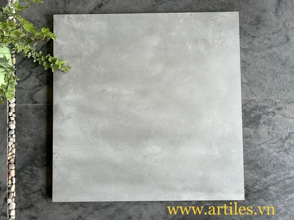 Gạch ốp lát vân ximang Art6602