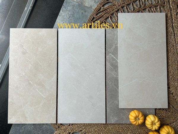 Gạch ốp lát 30x60cm mờ vân đá