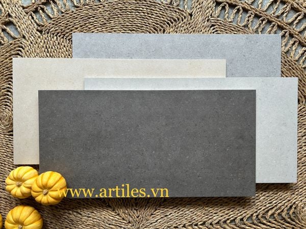 Gạch ốp lát nhà vệ sinh 30x60cm mờ