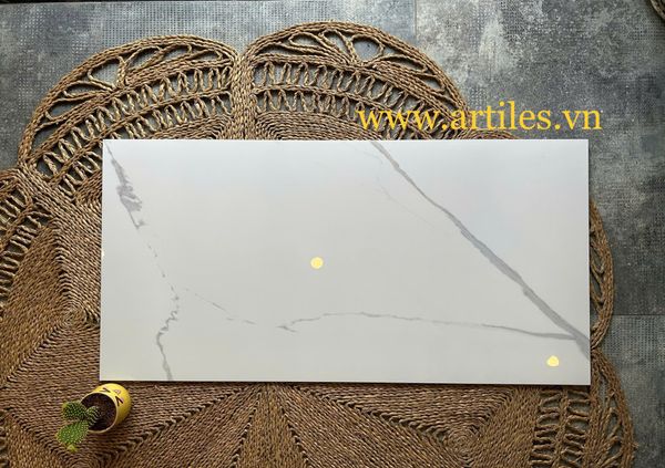 Gạch 60x120 bóng kiếng Art60120