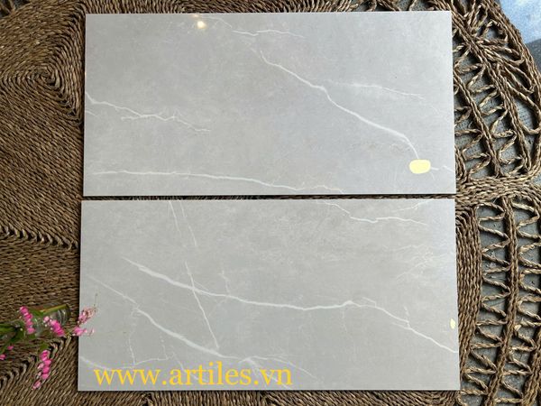 Gạch ốp tường 40x80cm CS805