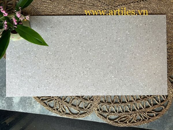 Gạch vân đá Terrazzo 60x120cm S08J