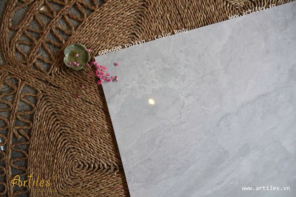 Gạch 60x60 bóng kiếng xương đá Art19