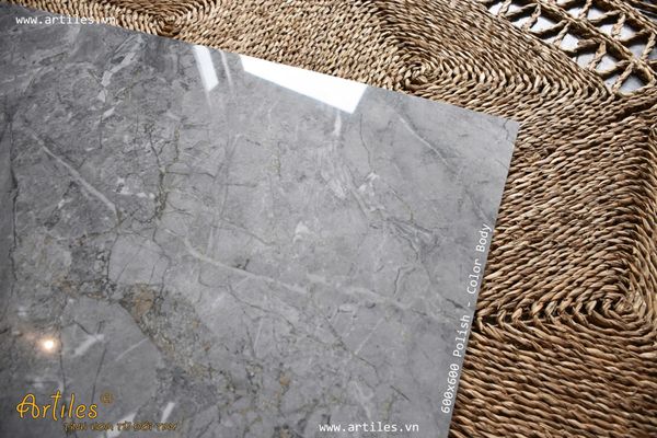Gạch 60x60 bóng kiếng vân đá xám Art18