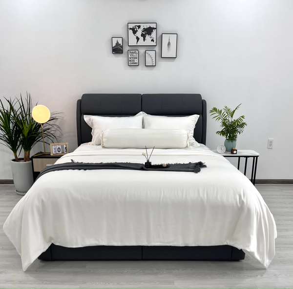 Vỏ chăn tencel NIN House 220x230cm TF6001