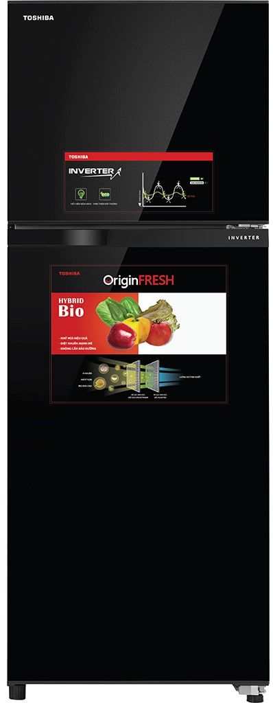 Tủ lạnh Toshiba Inverter 305 lít GR-AG36VUBZ XK1