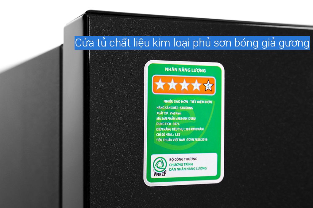 Tủ lạnh Samsung Inverter 307 lít RB30N4170BU