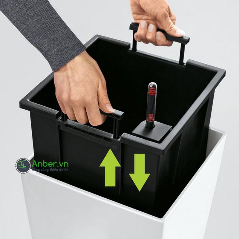Cây cau nhật + Chậu tự tưới AWS cao cấp Anber - Diamond