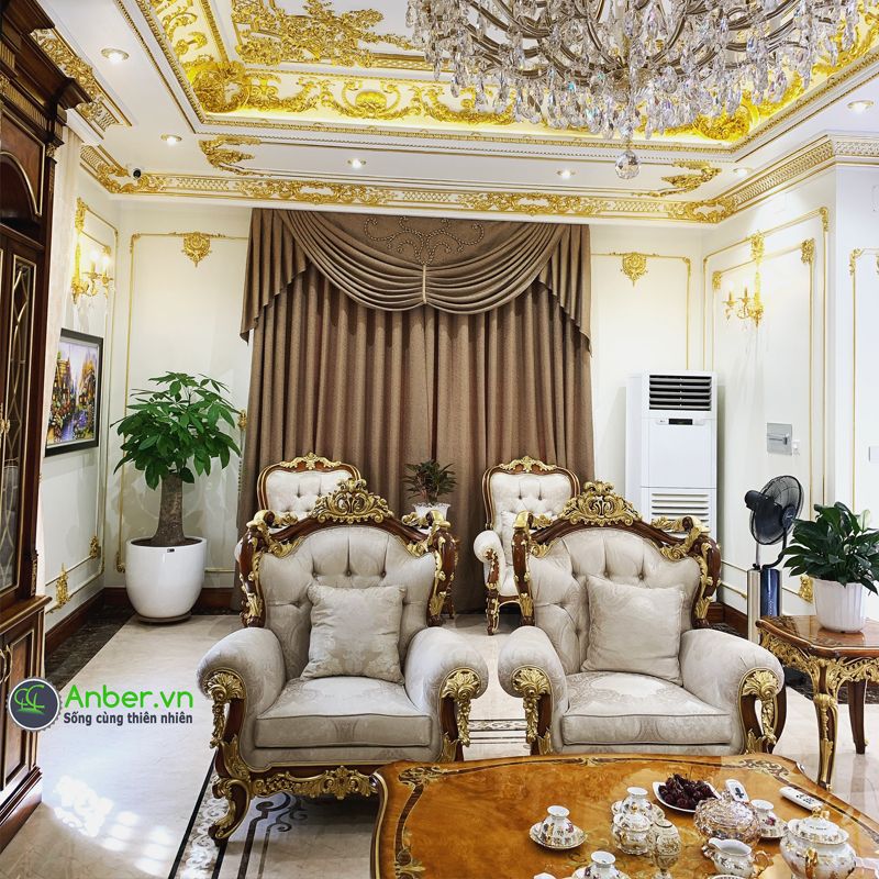 Kim ngân chân voi + Chậu composite cao cấp Anber 1083