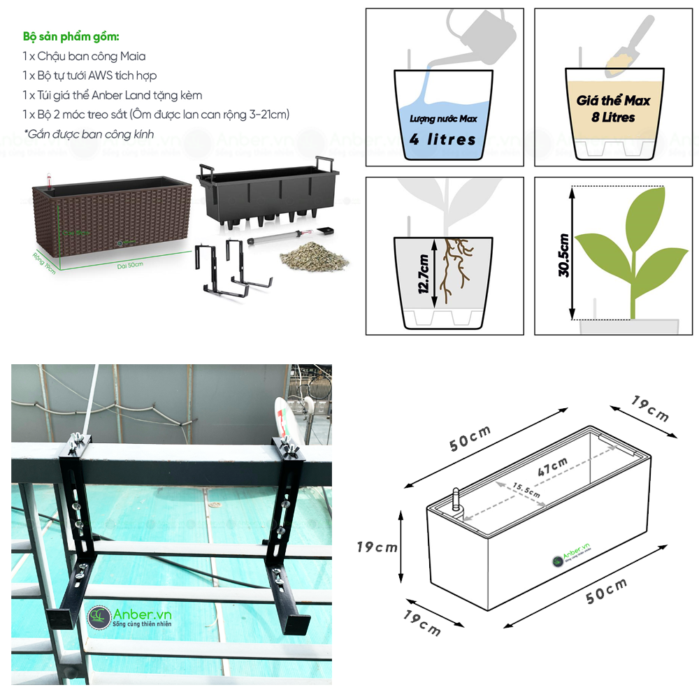 Hoa hồng gai + Chậu treo ban công tự tưới AWS Maia