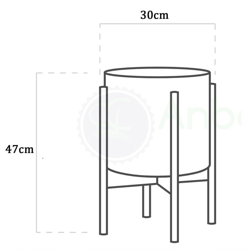 Cây Kim tiền + Bộ chậu composite kệ gỗ Anber Wood 6688