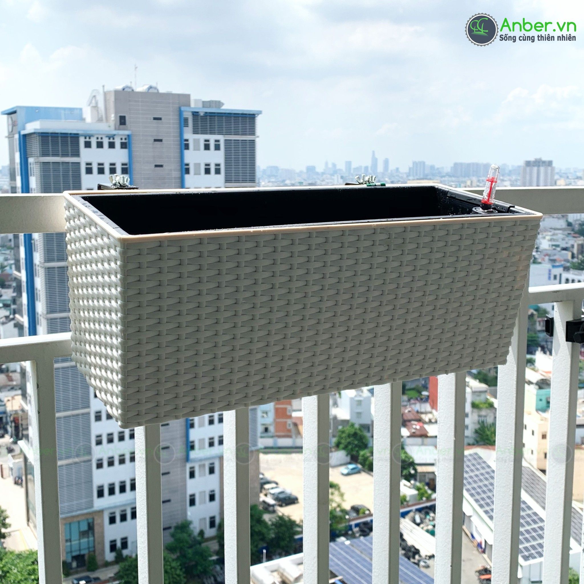 Hoa hồng Mosaki Pháp+ Chậu treo ban công tự tưới AWS Maia