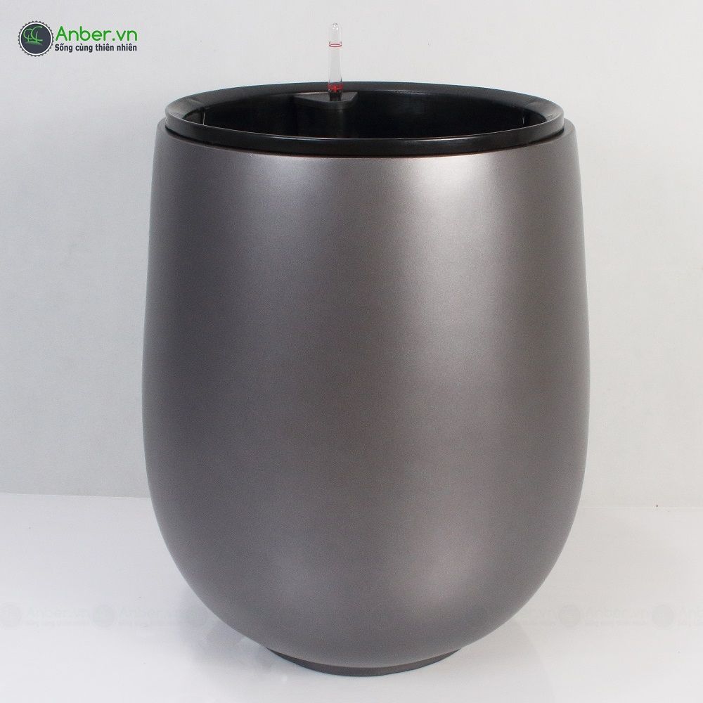 Cây kim ngân Phúc Lộc Thọ + Chậu composite tự tưới AWS 1133