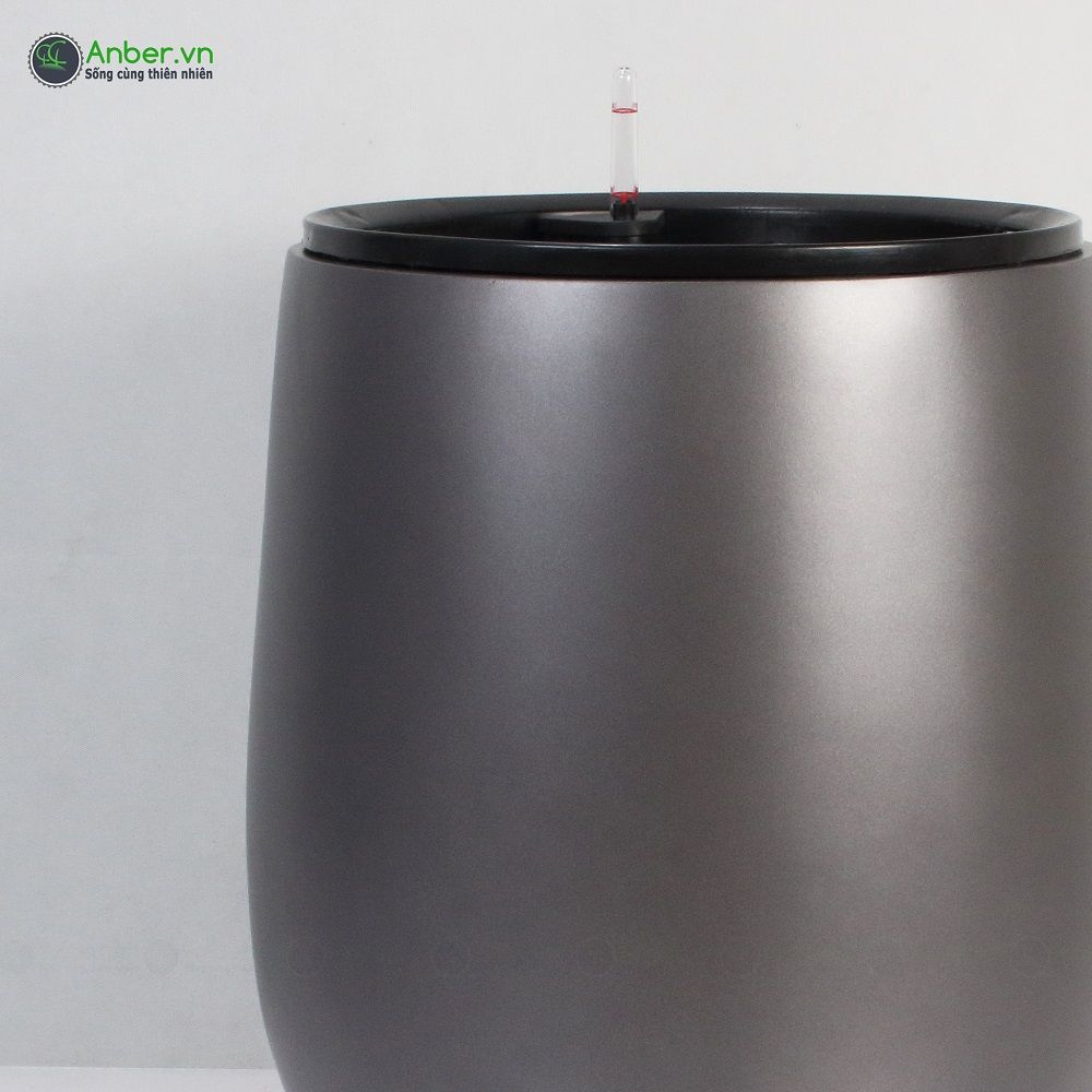 Cây kim ngân Phúc Lộc Thọ + Chậu composite tự tưới AWS 1133