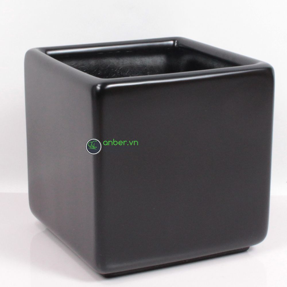 Cau Hawai + Chậu composite cao cấp Anber 1476 (Đen mờ)