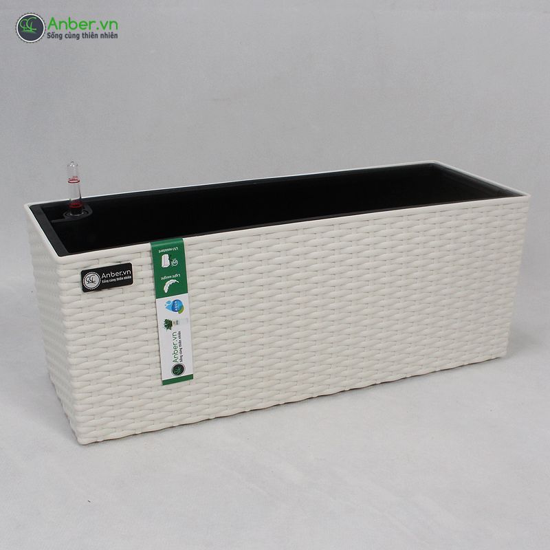 Hoa phi yến + Chậu treo ban công tự tưới AWS Maia