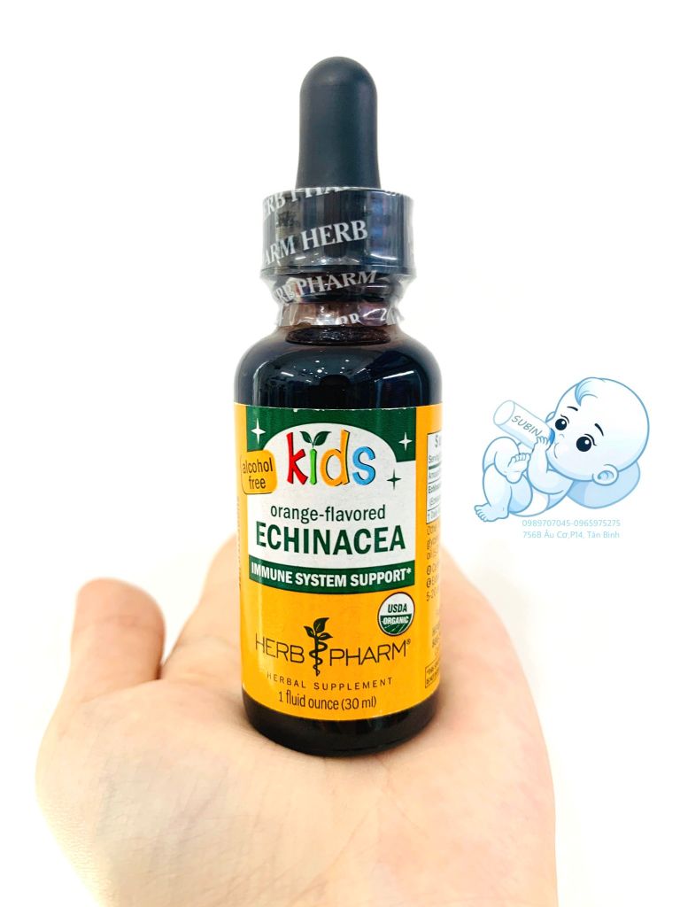 Tăng Sức Đề Kháng Kids Echinacea dùng lúc bệnh 30ml