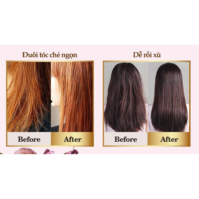 Combo dầu gội PARCO Dưỡng Tóc Chắc Khỏe - Phục hồi mềm mượt (Dầu gội Hồng + Tinh chất)