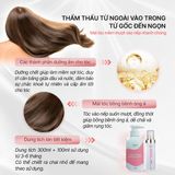  COMBO Tinh Chất Dưỡng Tóc Nước Hương Nước Hoa iShine 300ml + 100ml 