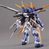  Gundam Astray Blue Frame D (MG - 1/100) 