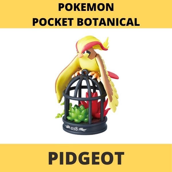  Pokemon Pocket Botanical 