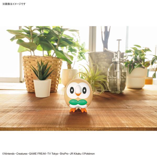  Rowlet - Pokemon Plamo Collection Quick!! 