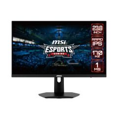 Màn hình Gaming MSI G244F 23.8 inch FHD IPS 170Hz