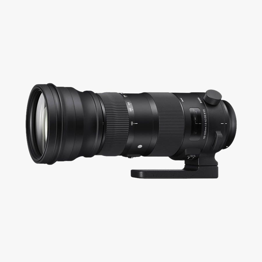 Lens Sigma 150-600mm F5-6.3 DG OS HSM Sports for Nikon (Chính hãng)