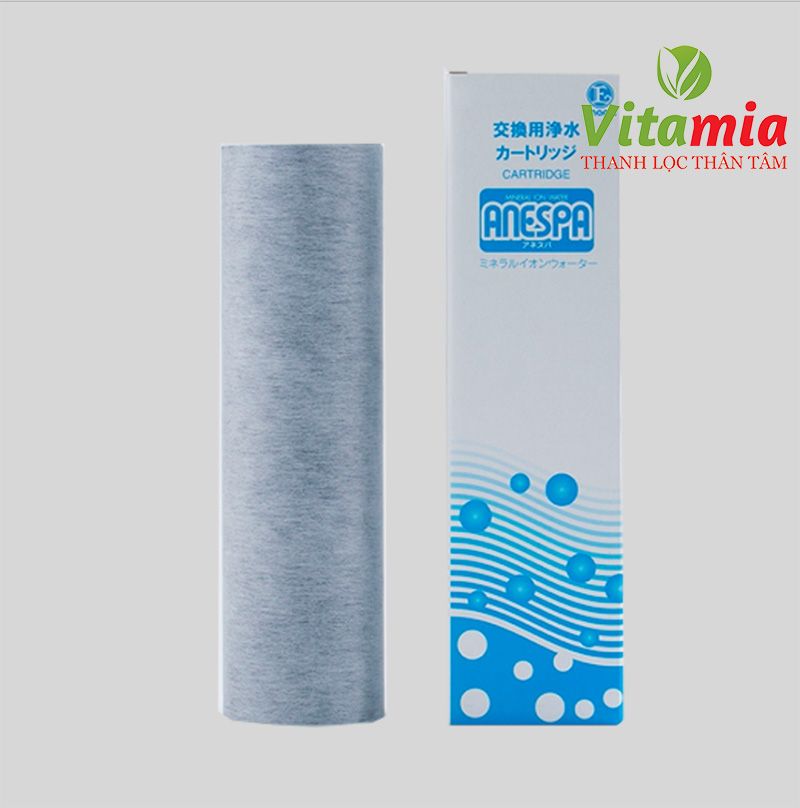 Lõi Carbon Anespa