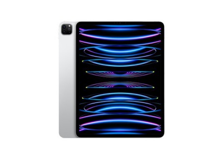 Apple iPad Pro 11 2022 M2 5G 256GB