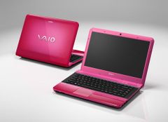  Sony Vaio Vpcea45Fg 