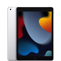  iPad Gen 9 256GB Wifi 