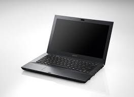 Sony Vaio Vpcsb28Gg