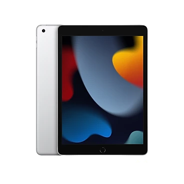 Apple iPad 10.2-inch (9th Gen) Wi-Fi, 2021